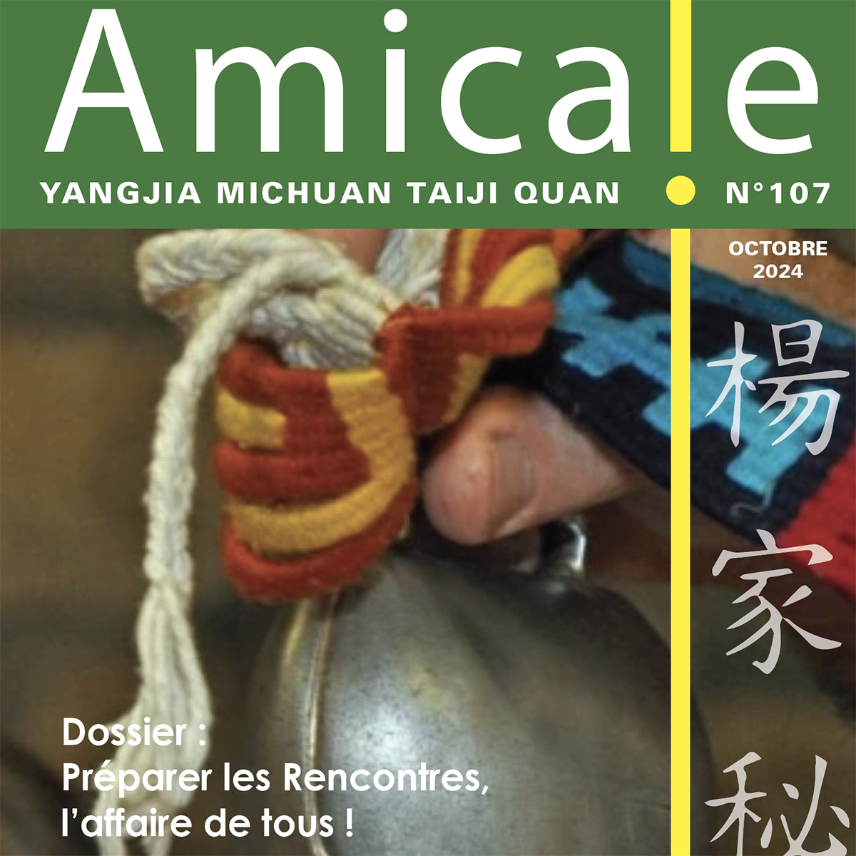 Amicale n°107